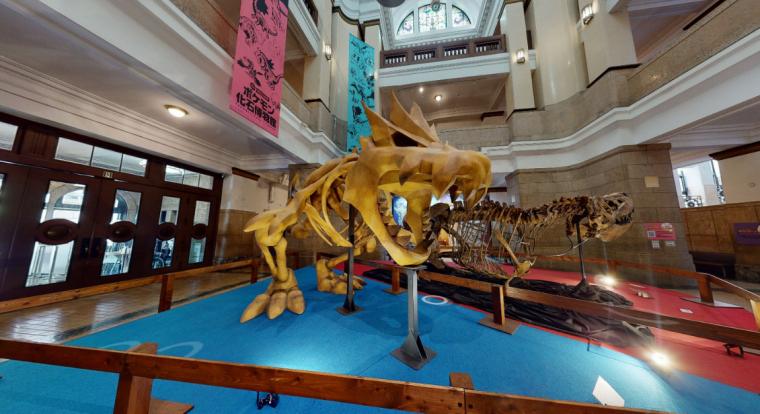 Chicagóba költözik a Pokémon fosszília múzeum