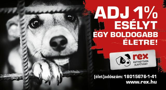 Adj esélyt egy jobb életre, ajánld fel adód 1%-át