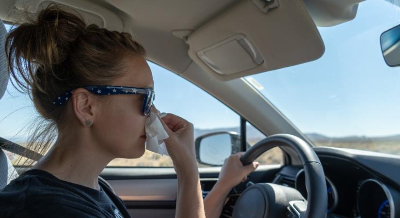 Sokkoló adatok: a pollen úgy hat a vezetésére, mintha alkoholt fogyasztott volna