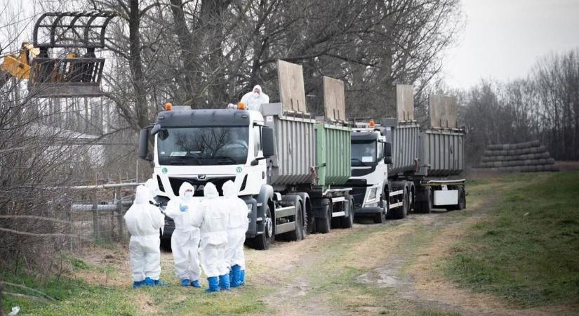 Jó hírt kaptak a borsodi vásárosok, ennek a látogatók is örülhetnek majd!