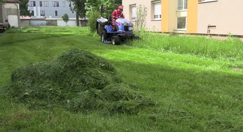Nem lustaság vagy igénytelenség – átalakulnak a kaszálási előírások