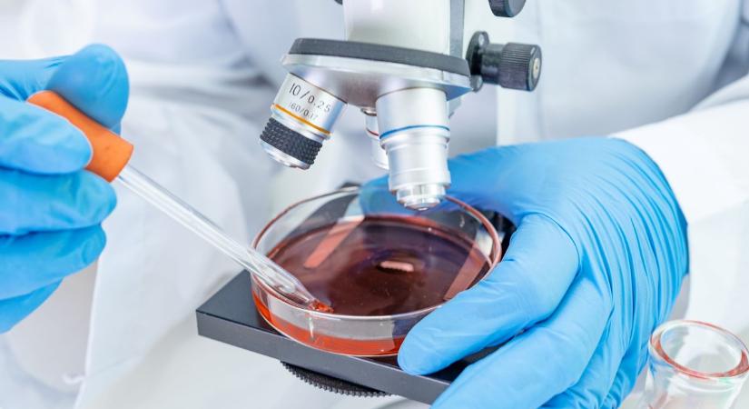 Halálos kórházi szuperbaktérium eheti meg a betegek kötszereit, implantátumait és varratait