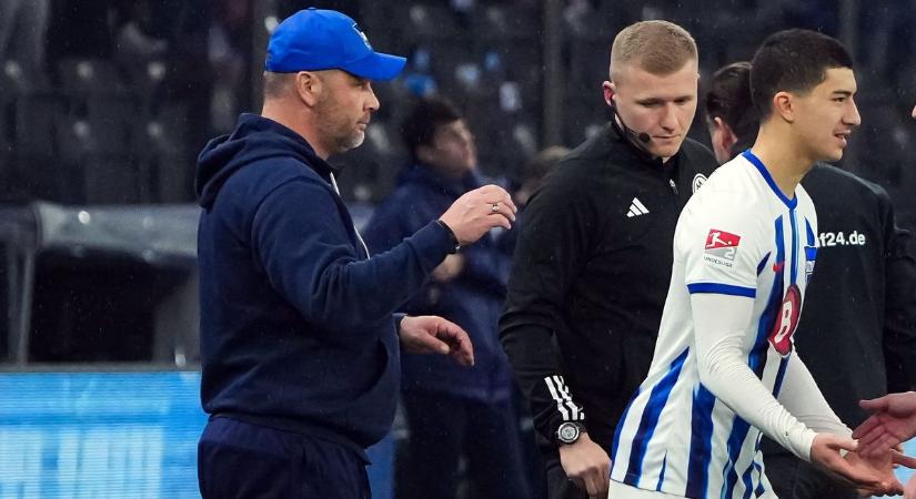 Hálás Dárdai Pálnak a milliárdos csodagyerek