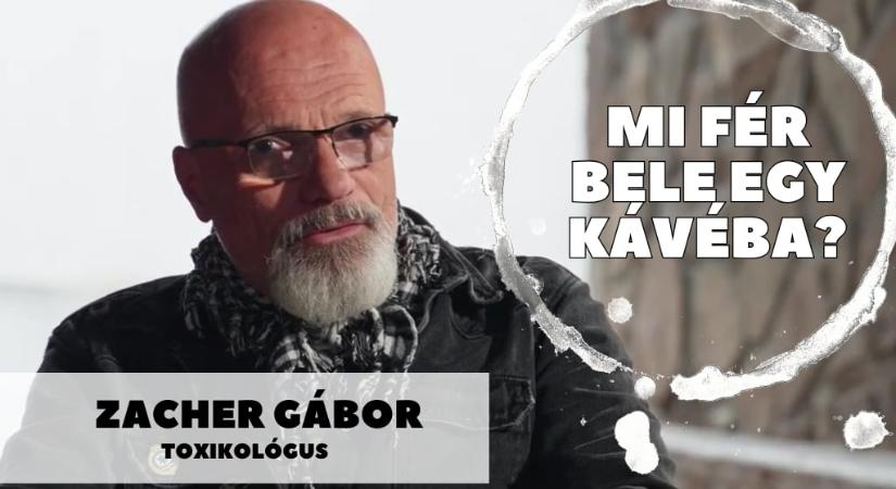 Mi fér bele egy kávéba? Zacher Gábor toxikológussal beszélgetünk szombaton 11 órától a Maszol YouTube-csatornáján