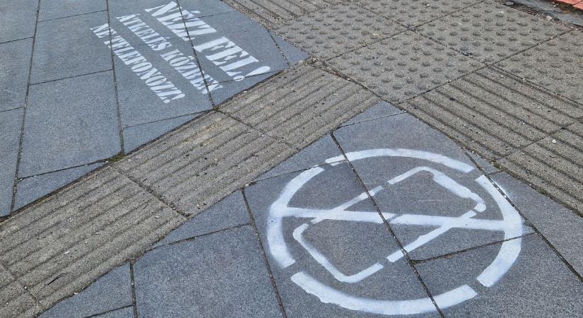 Halálos baleseteket előzhet meg egyetlen szó – Nézd meg, mit írtak a zebrák mellé!