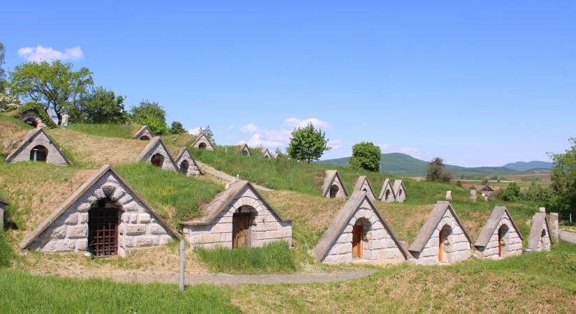Bor és történelem Tokaj-Hegyalján: látogatás Hercegkút pincesorainál