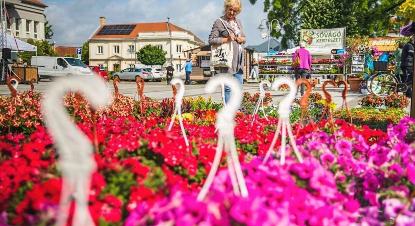 Több ezer növény és ízletes fogások egy helyen Hajdúböszörményben