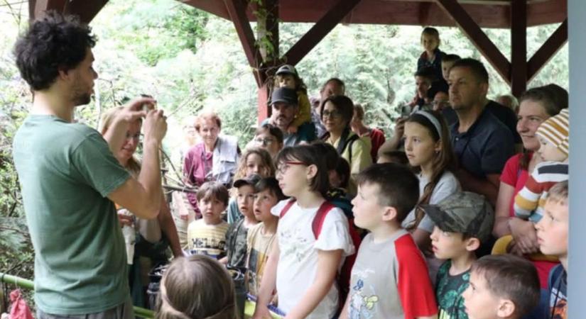 Gyerekprogram péntekre: madárodú-ellenőrzés Csanakon