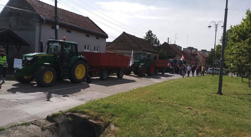 Egyre közelednek Szabadkához a gyalogló egyetemisták, este nyolckor ünnepélyes fogadás a főtéren