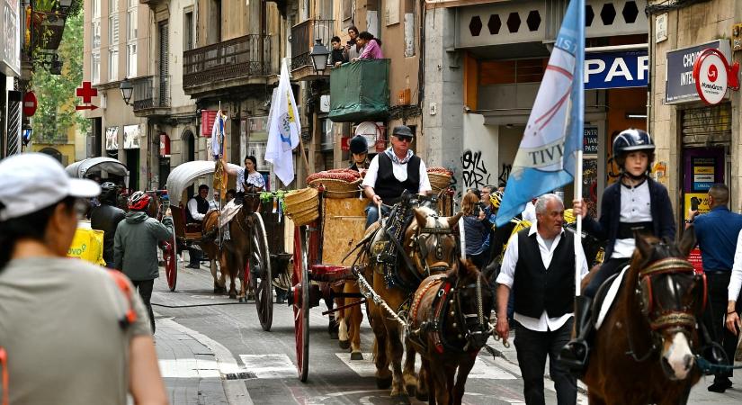 Elpusztult egy ló egy barcelonai fesztiválon, a stressz végezhetett vele