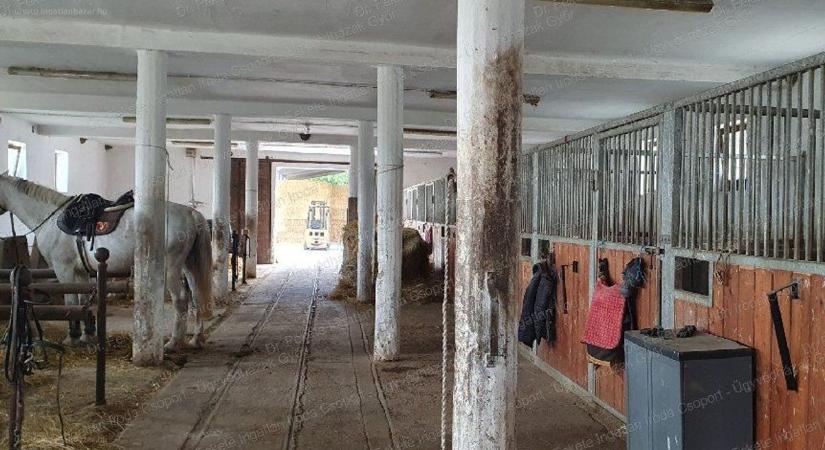 Micsoda ajánlat! Lovardát, panziót és éttermet árulnak Győrtől néhány percre