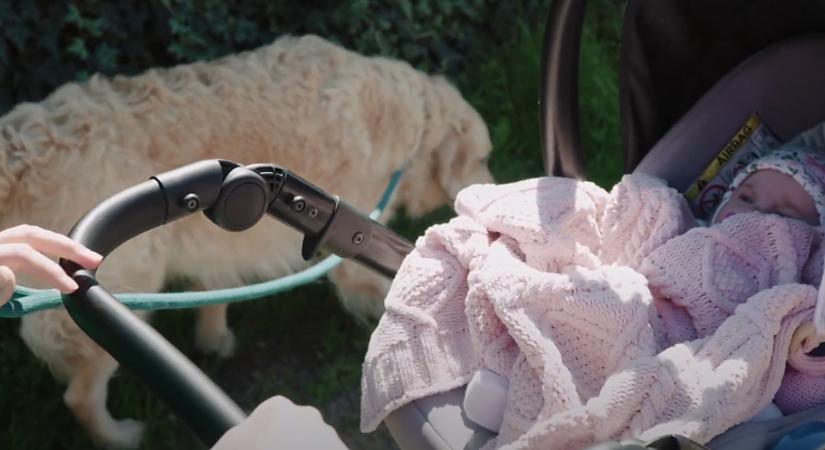 Ki sétáltat kit? Atmo Kamillát? És mi a helyzet a babakocsival? – videóval