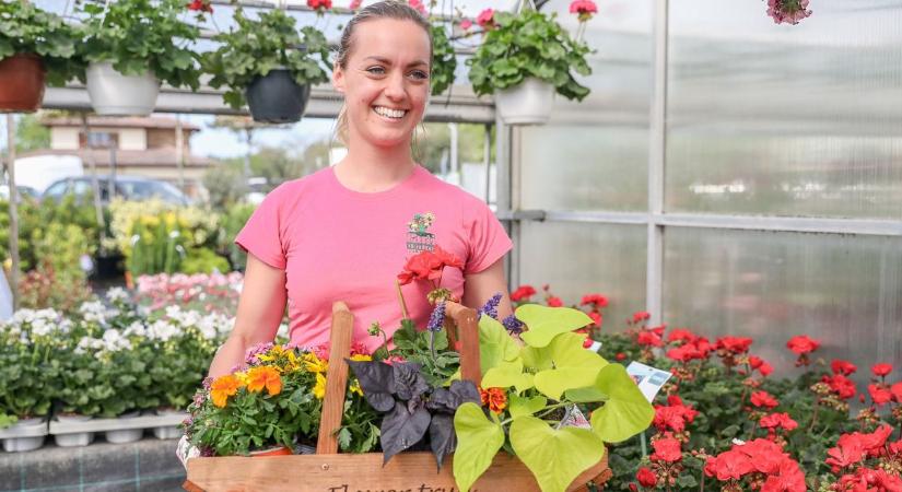 A muskátli örök, a vinka jól bírja a meleget – itt a balkonkertészet ideje