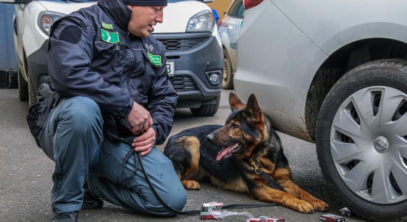 Nagy fogás az autópályán: a tréleren vitt autóba bújtak el a cigarettakígyók