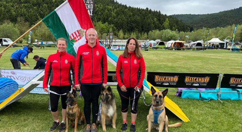 Tra, a szívdöglesztő malinois: Somogyban él a világ egyik leggyorsabb és legügyesebb belga juhásza