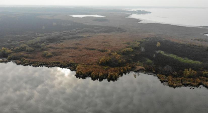 Most vegyen nyaralót a Tisza-tónál, ha tud! Külföldi befektetők jelentek meg, robbanás előtt a környék