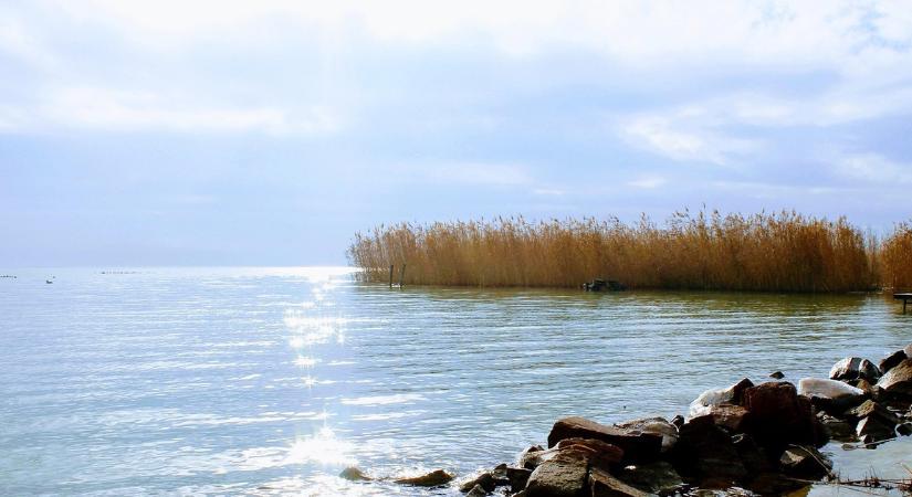 Rákpestis terjesztő állat jelent meg a Balatonban és a Velencei-tóban