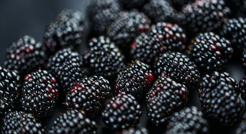 A színük sötét, a fogyasztásuk egészséges, adunk 5 tippet
