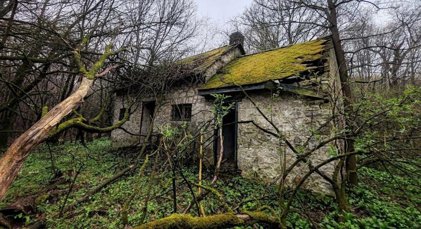 Így néz ki ma egy forrásház, ami akár horrorfilm díszlete is lehetne - galériával