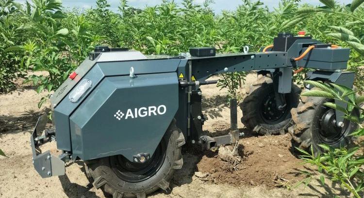 Aigro UP robot – új irány az ültetvényes növényápolásban