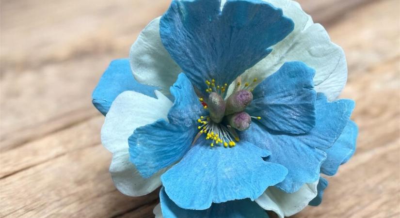 Ezekbe a kőröshegyi rózsákba és orchideákba bárki beleharaphat, nem bánja meg