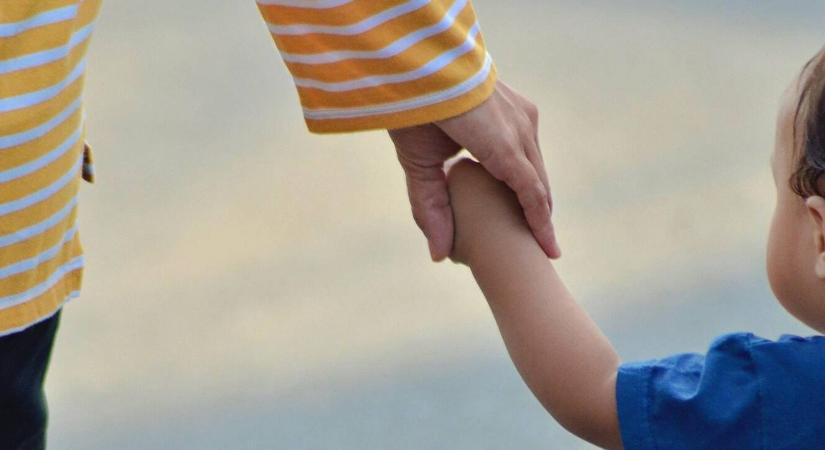 Allergia megelőzése avokádóval – tudományos áttörés?