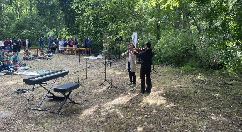 Hangszert ragadtak a mesebeli erdő közepén, gyönyörű dallamok zengték be a várost – galériával
