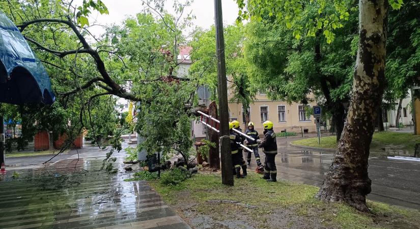 Rádöntött egy fát az új Lidl áruházra a hatalmas vihar (galéria, videó)