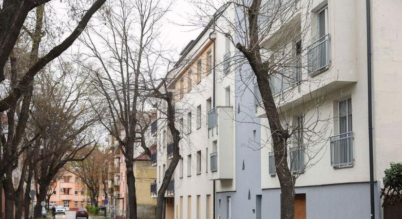 Megtaláltuk a legolcsóbb albérletet Szegeden – mi is háromszor elolvastuk az árát