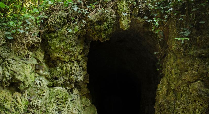 Ősi vérbarlangot találtak a dzsungelben – a maja áldozatok titka még a régészeket is megdöbbentette