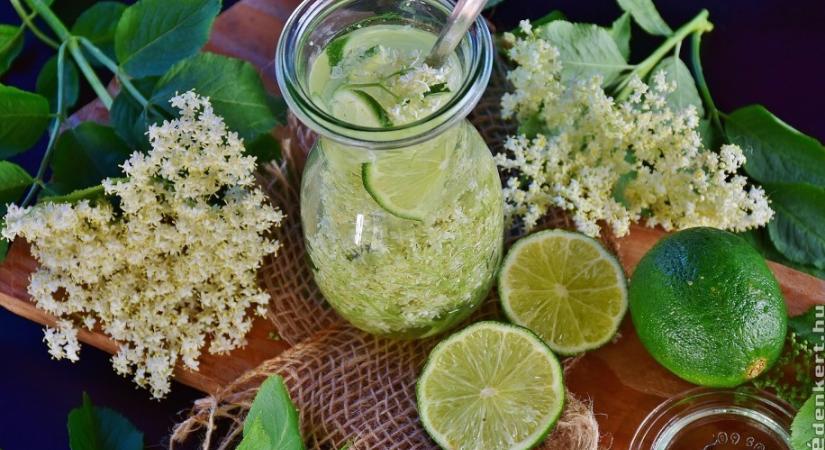 Négy nagyon finom, rendkívül egyszerű bodzaszörp recept