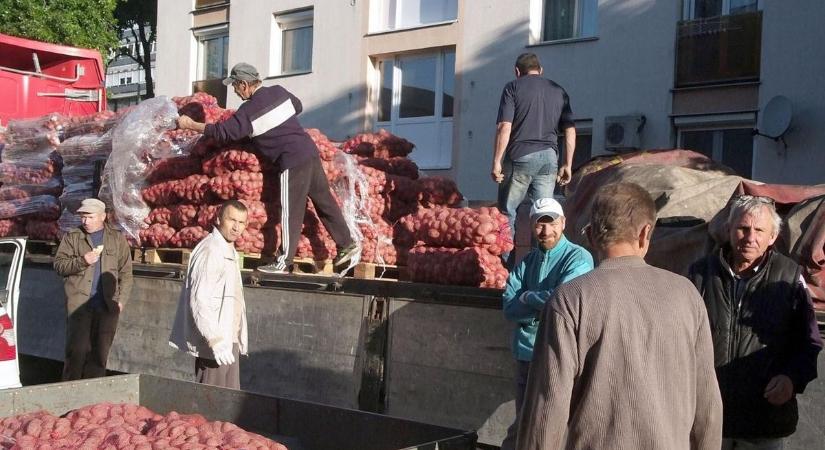„Én csak egy krumpli vagyok” – avagy mi is az a burgonya szindróma?