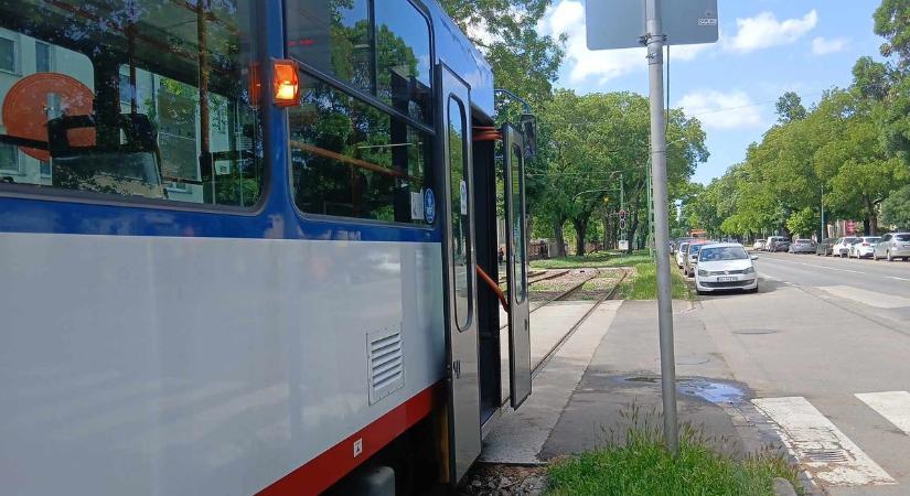 Ismét állt a villamos Szegeden, most egy faág okozta a fennakadást
