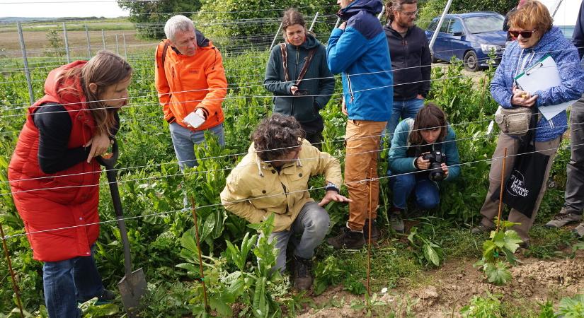 „A jó bor jó talajon készül” – újabb gazdaságok kaptak „Élő farm” minősítést (GALÉRIA)