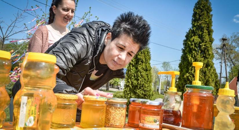 Aki nem látja, hogy ez milyen fontos, lemarad – mátrai méhész a megosztó új rendszerről