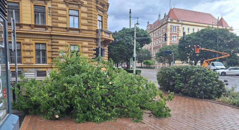 Kidőlt fa, szalagkorlátnak ütközött autó és egy szivárgó gázpalack
