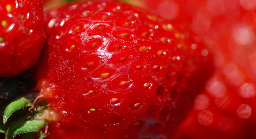 Rendkívüli figyelmeztetés: döbbenetes a Tesco eperkínálata, ilyet még a szakemberek sem láttak