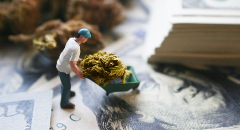 Elfogták a győri díler családot - Kábítószerrel kereskedtek