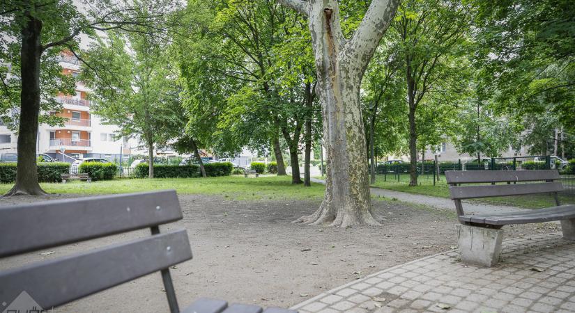 Illat- és lepkekert, tanösvény és futópálya – ilyen lesz a Simor János püspök tere