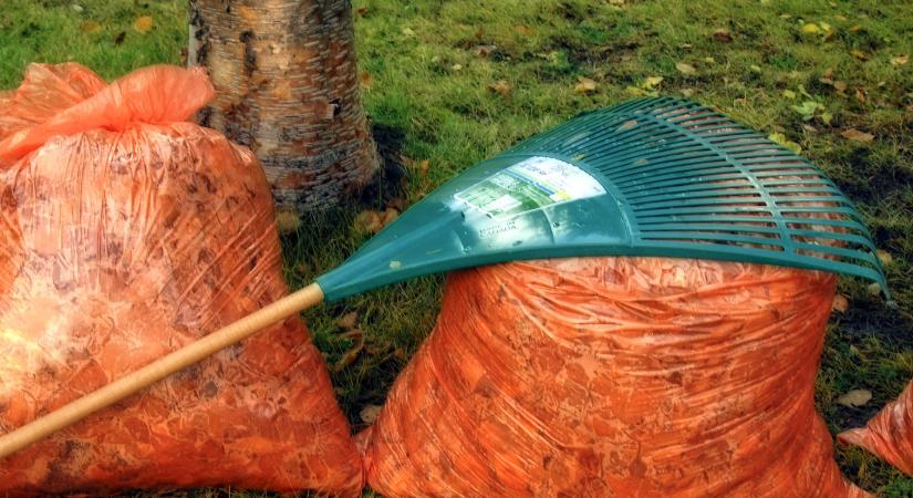 Változik a zöldhulladék-szállítás napja Dorogon