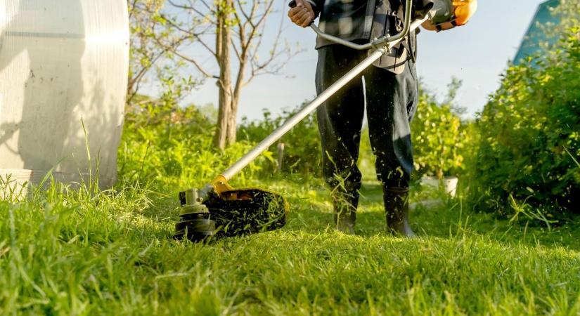 Fűnyírás: tényleg büntetnek az önkormányzatok? – Utánajártunk!