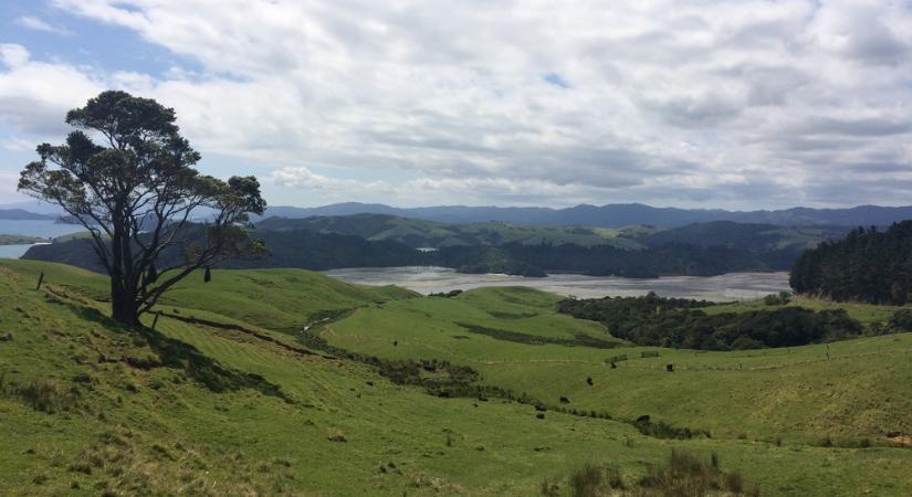 Virtuális utazás: 5+1 érdekesség Új-Zélandról