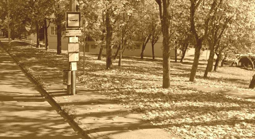 Rémálom a miskolci Szent Anna téren: fényes nappal történt borzalom egy nővel