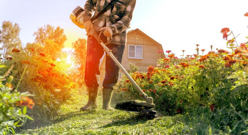 A fűnyírás nem maradhat el hetekig