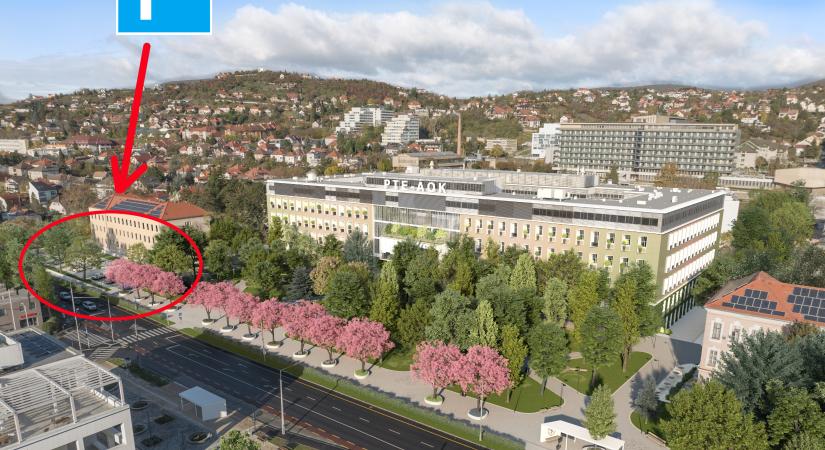 VIP-parkoló miatt lett kisebb a zöldterület!