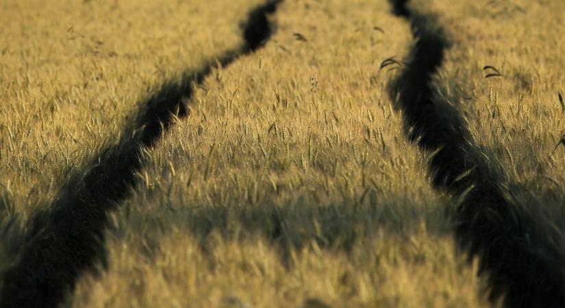 Könnyebb földhasználat: mi is az a többlethasználati megállapodás?