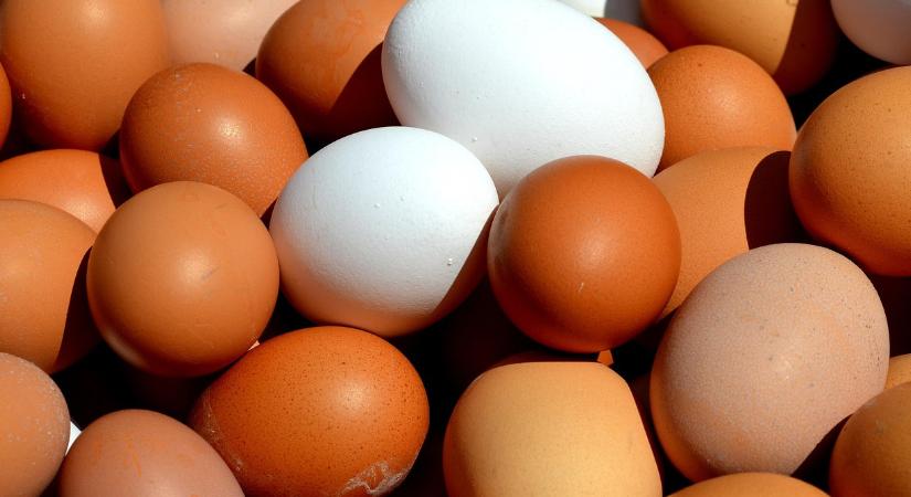 Így jelennek meg a tojásallergia tünetei az arcon