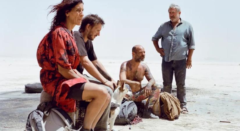 PORSZÁRAZ KŐSIVATAGTÓL AZ ÁZOTT NÁDASIG Oliver Laxe: Sirát és Sven Bresser: Reedland / 78. Cannes-i Fesztivál