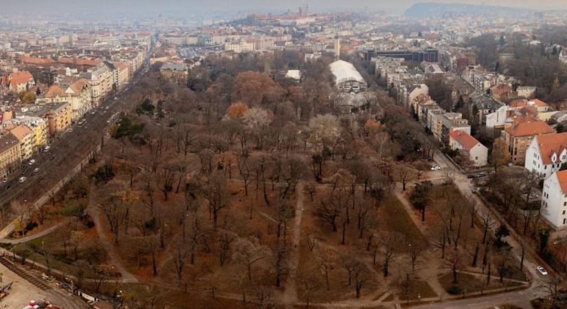 Sorában állnak a cégek a Városmajor támogatásáért