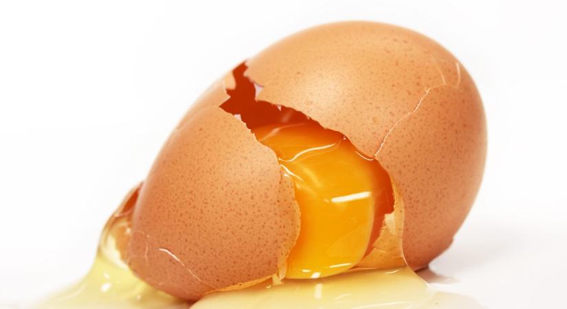 Leesett az étel, akkor még megehetjük, ha gyorsan felkapjuk? Tényleg számít az öt másodperces szabály?